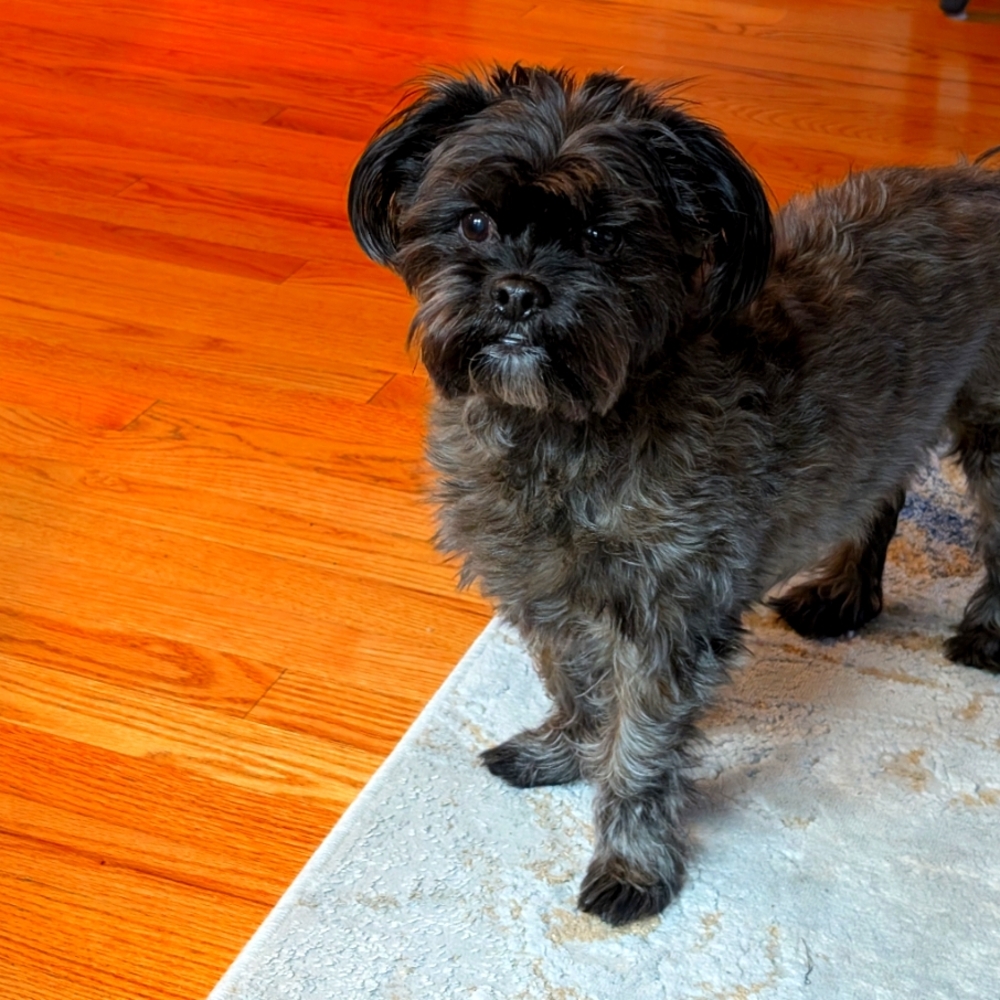 Meet your Posher, Vicky